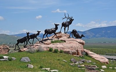 Fair Teams up with Jackson Hole’s Own National Museum of Wildlife Art as an Institutional Partner