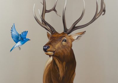 Elk with Bluebird by Mai Wyn Schantz. Oil on stainless steel