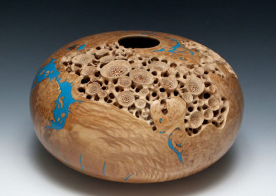 Coral Vessel by Mark Henry Doolittle