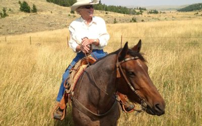 Meet Featured Artist Barbara Van Cleve