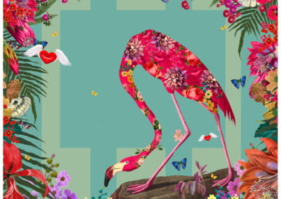 Paradise Flamingo