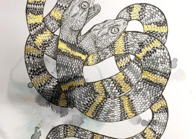 Giulia Ronchetti, Two Headed Snake, 2018, 15.7 x 11.6 in, Indian ink & water color on paper